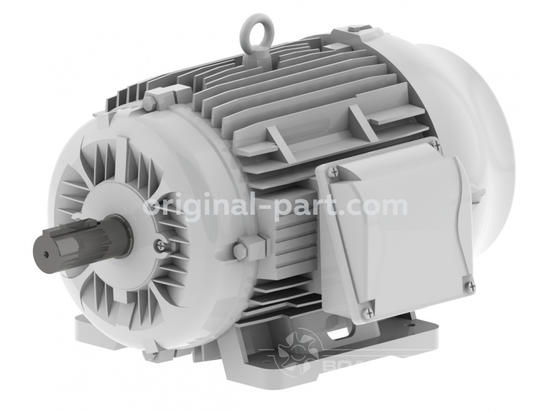 2205190383 Двигатель 355KW/10KV/IP23 4POLE - цена, фото, характеристики - Ориджинал парт